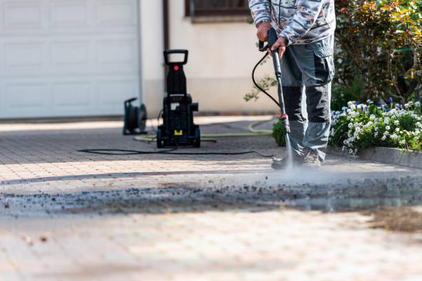 Best Roof Pressure Washing  in Evans, CO